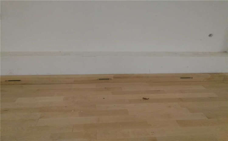 專業(yè)體育木地板廠家