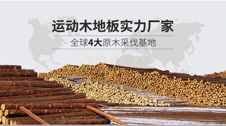 上海體育專用地板廠家聯(lián)系方式