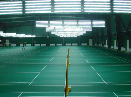 體育運(yùn)動(dòng)地板,體育木地板