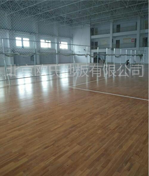 邢臺(tái)帥博體育體育館木地板案例圖1 邢臺(tái)帥博體育體育館木地板案例圖1