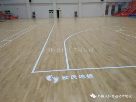 臨沂市理工學(xué)校體育館木地板成功案例 臨沂市理工學(xué)校體育館木地板成功案例