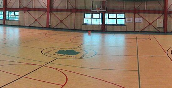 地?zé)嵝偷臈髂倔w育運動地板施工和使用時的注意事項 地?zé)嵝偷臈髂倔w育運動地板施工和使用時的注意事項