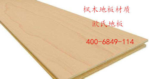 楓木運(yùn)動(dòng)木地板 楓木運(yùn)動(dòng)木地板