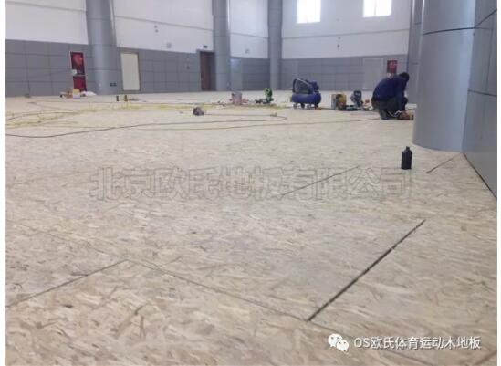 中國(guó)人民銀行玉樹藏族自治州中心支行籃球館木地板案例 中國(guó)人民銀行玉樹藏族自治州中心支行籃球館木地板案例