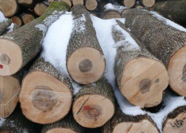 國(guó)產(chǎn)東北楓木和國(guó)外的美國(guó)楓木、加拿大楓木哪種更好