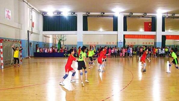 手球館場(chǎng)地的標(biāo)準(zhǔn)尺寸和等級(jí)劃分 手球館場(chǎng)地的標(biāo)準(zhǔn)尺寸和等級(jí)劃分