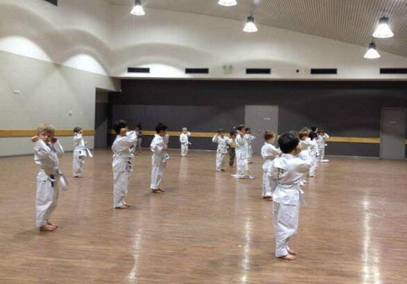 體育館和武術(shù)館的維護和保養(yǎng) 體育館和武術(shù)館的維護和保養(yǎng)