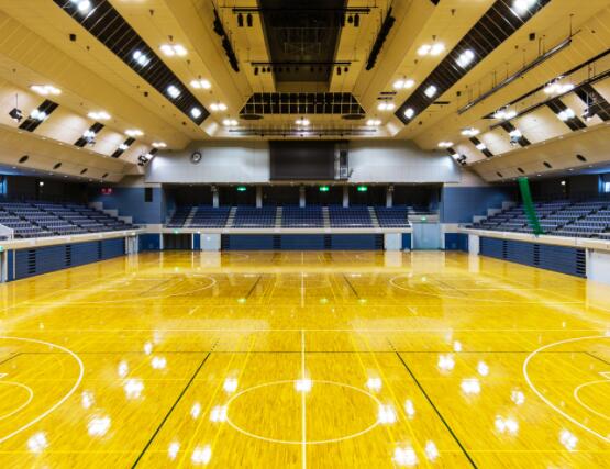 體育館和武術(shù)館的維護和保養(yǎng) 體育館和武術(shù)館的維護和保養(yǎng)