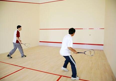  建個壁球館的價格是多少？