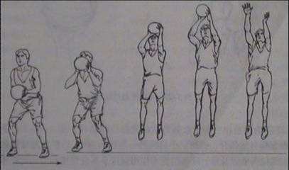 timg (3).jpg timg (3).jpg